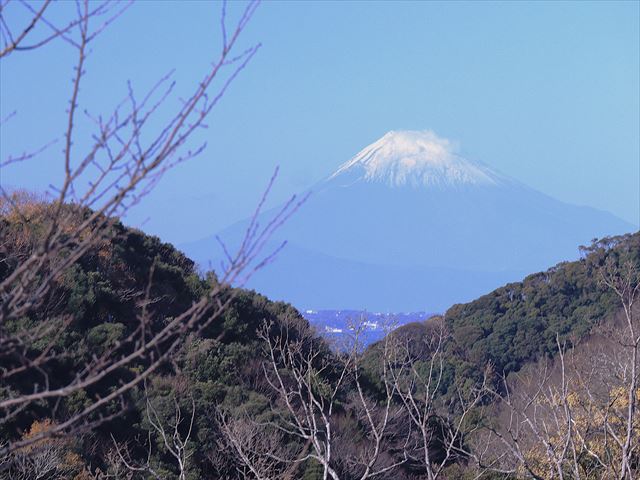 2412体育館ホール大多和